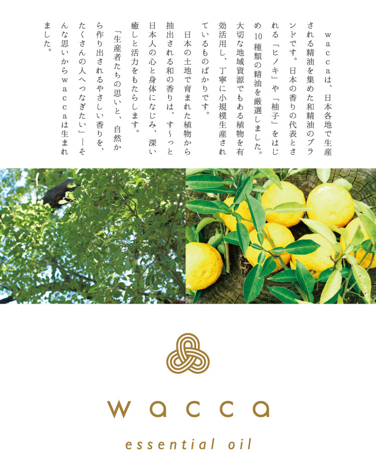 wacca Seedling Yuzu Oil (Best Before: 07/2024)